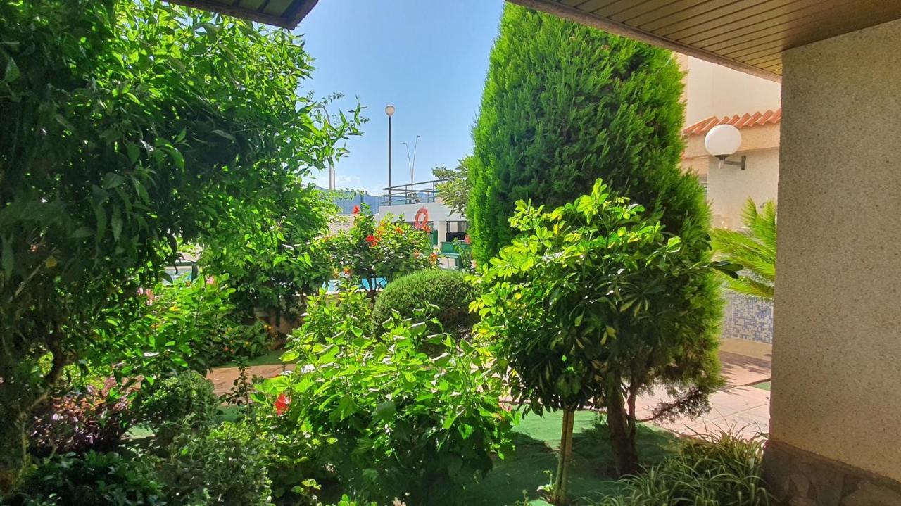 Апартаменты Jardines Gandia- Solo Familias Playa de Gandia Экстерьер фото